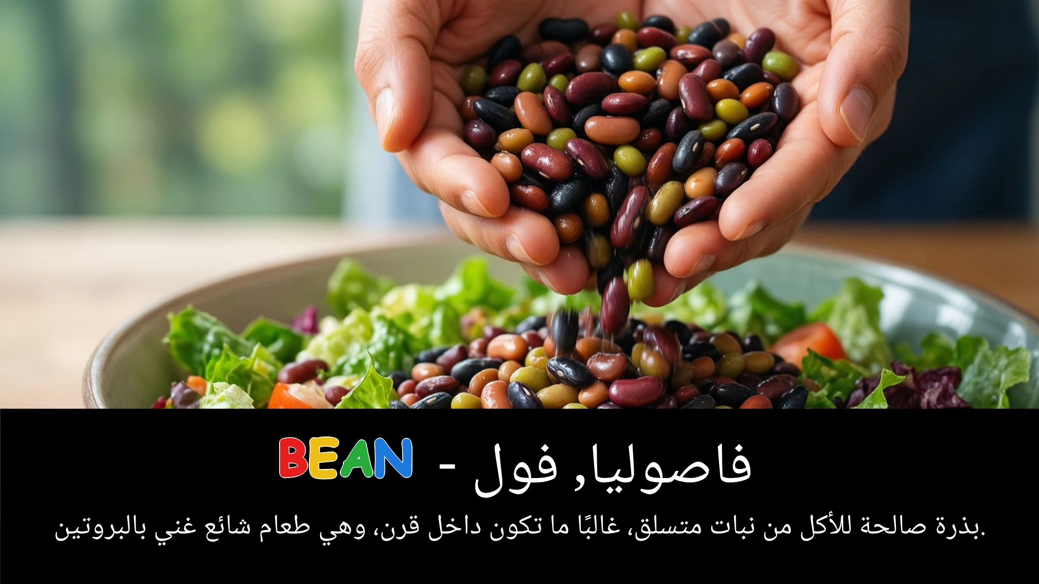 Arabic Illustration for bean